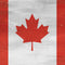 Canada Flag Distressed Beats Solo 2 Wireless Skin